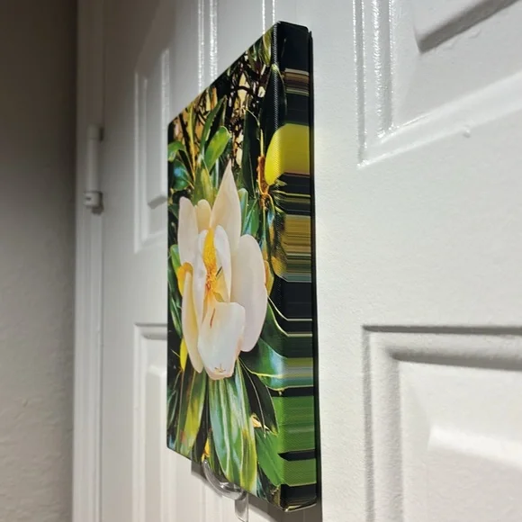 Floral Canvas Wall Art with White and Green
Picture taken with my phone - Picture 3 of 4